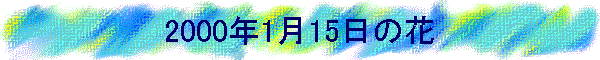 2000N115̉