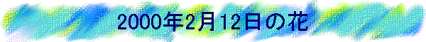 2000N212̉