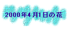 2000N41̉