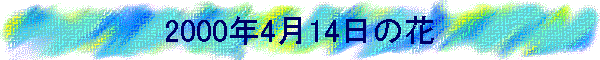 2000N414̉