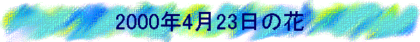 2000N423̉