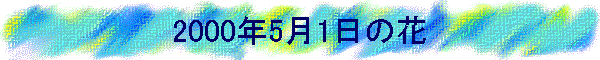 2000N51̉
