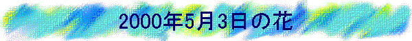 2000N53̉