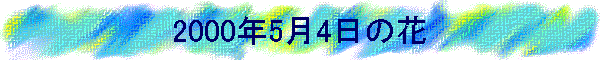 2000N54̉