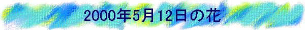 2000N512̉
