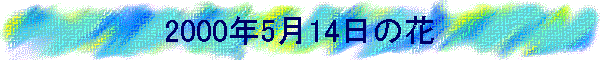 2000N514̉