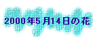 2000N514̉