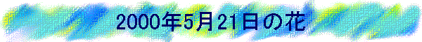 2000N521̉