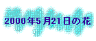 2000N521̉