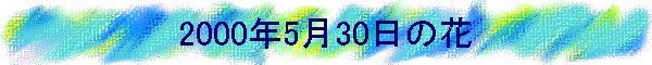 2000N530̉