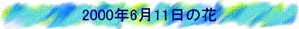 2000N611̉