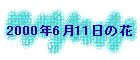 2000N611̉