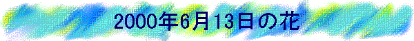 2000N613̉