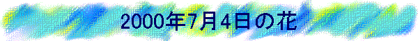 2000N74̉