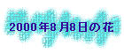 2000N88̉