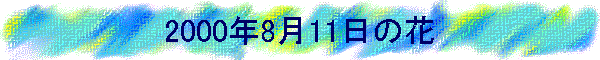 2000N811̉