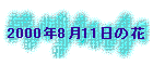 2000N811̉