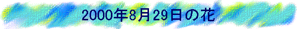 2000N829̉