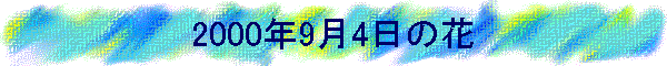 2000N94̉