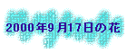 2000N917̉