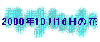 2000N1016̉
