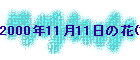 2000N1111̉(1)