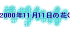 2000N1111̉(2)
