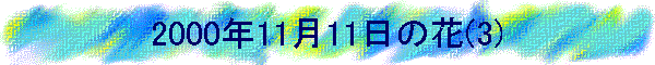 2000N1111̉(3)