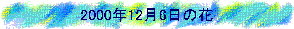 2000N126̉