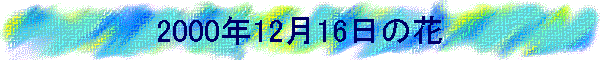 2000N1216̉