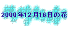 2000N1216̉