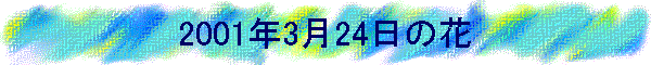 2001N324̉
