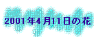 2001N411̉