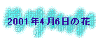 2001N46̉