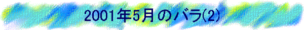 2001N5̃o(2)