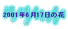 2001N617̉