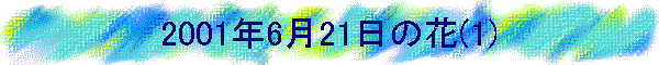 2001N621̉(1)