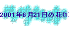 2001N621̉(1)