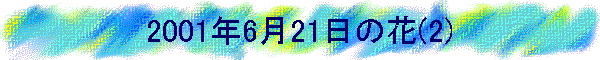 2001N621̉(2)