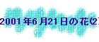 2001N621̉(2)