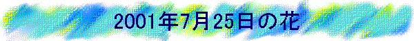 2001N725̉