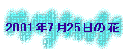2001N725̉