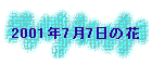 2001N77̉