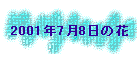 2001N78̉