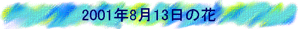 2001N813̉