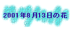 2001N813̉