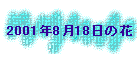 2001N818̉