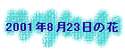 2001N823̉