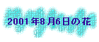 2001N86̉