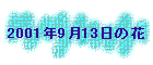2001N913̉